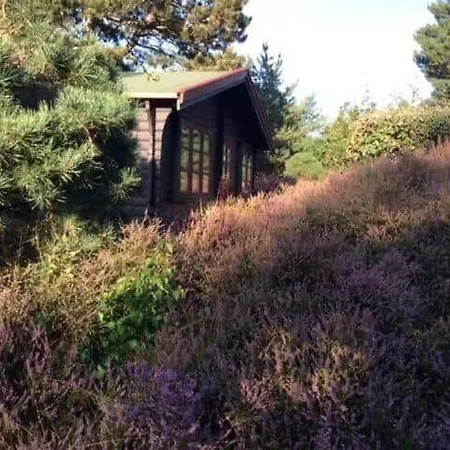 Tatil Evi 11172-nykobing-sj-strandvangen-21